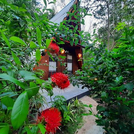 The Otunna Guest House Sigiriya Exteriör bild