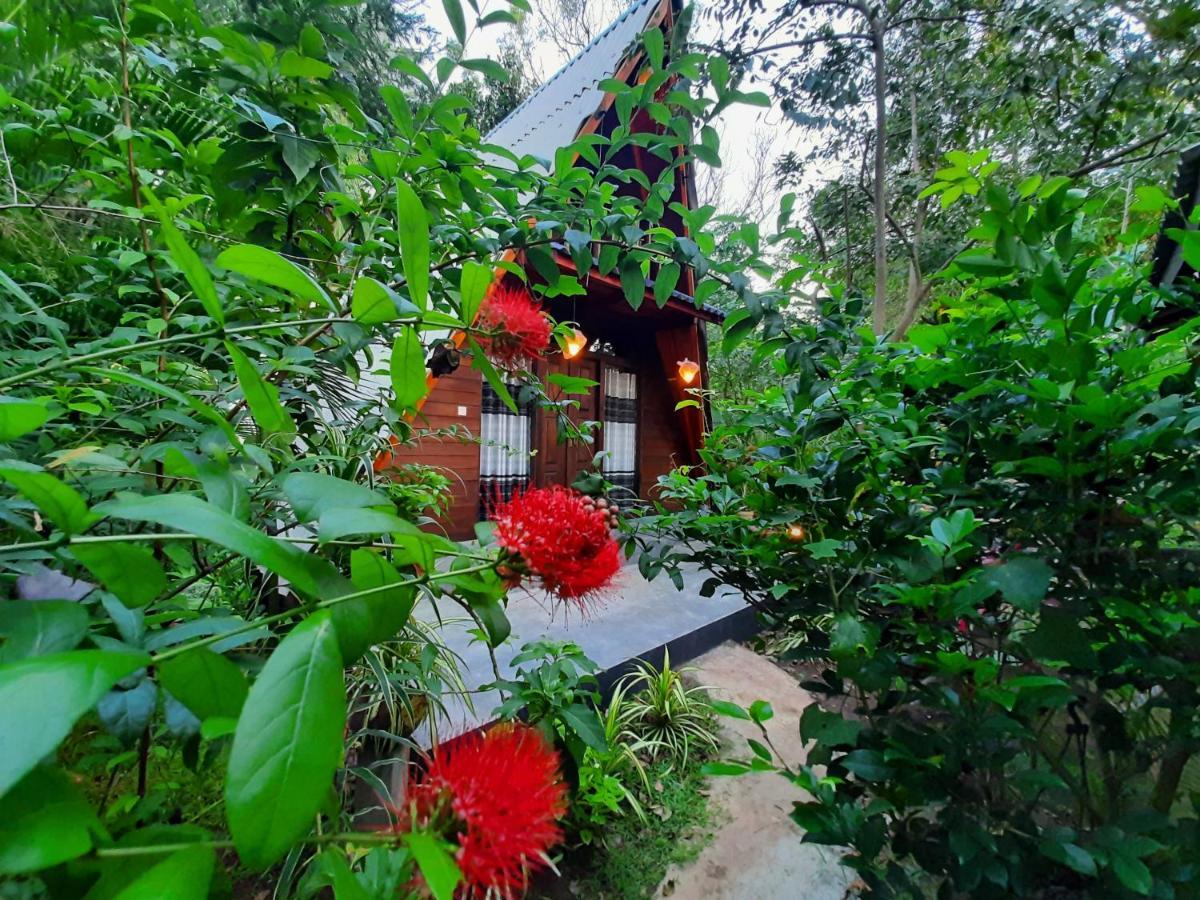 The Otunna Guest House Sigiriya Exteriör bild