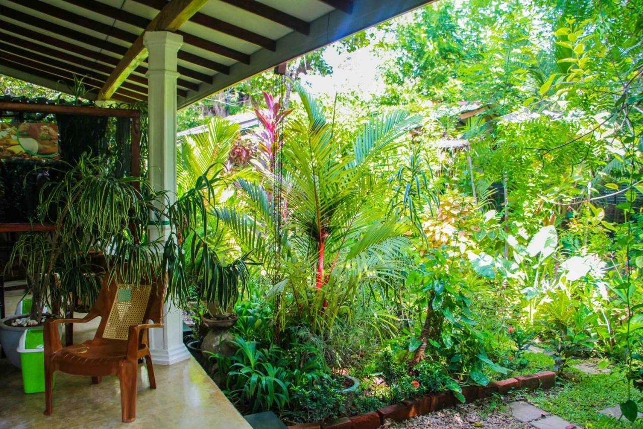 The Otunna Guest House Sigiriya Exteriör bild