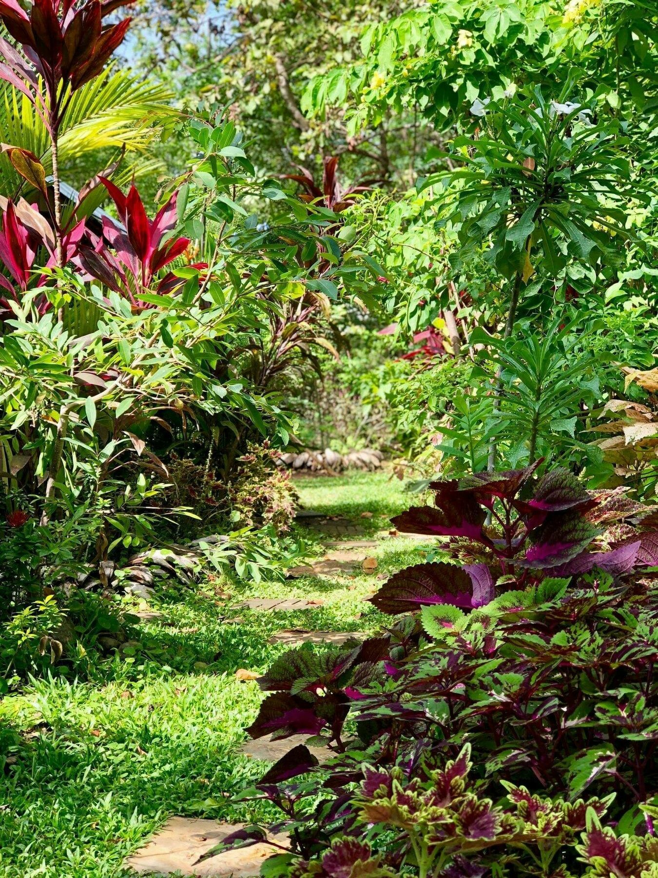 The Otunna Guest House Sigiriya Exteriör bild
